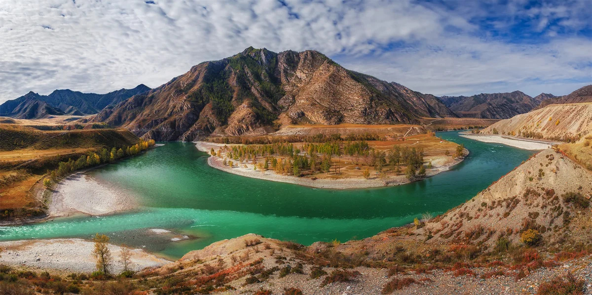 Altai