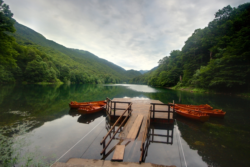 uploads/Biogradska_Gora.jpg